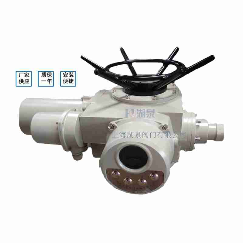電動閘閥DZW30-18W執行器(廠家哪家好)